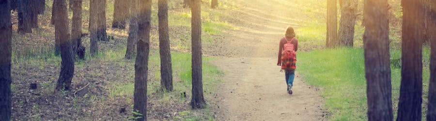 woman walking in the woods with a red backpack, the sun is shining