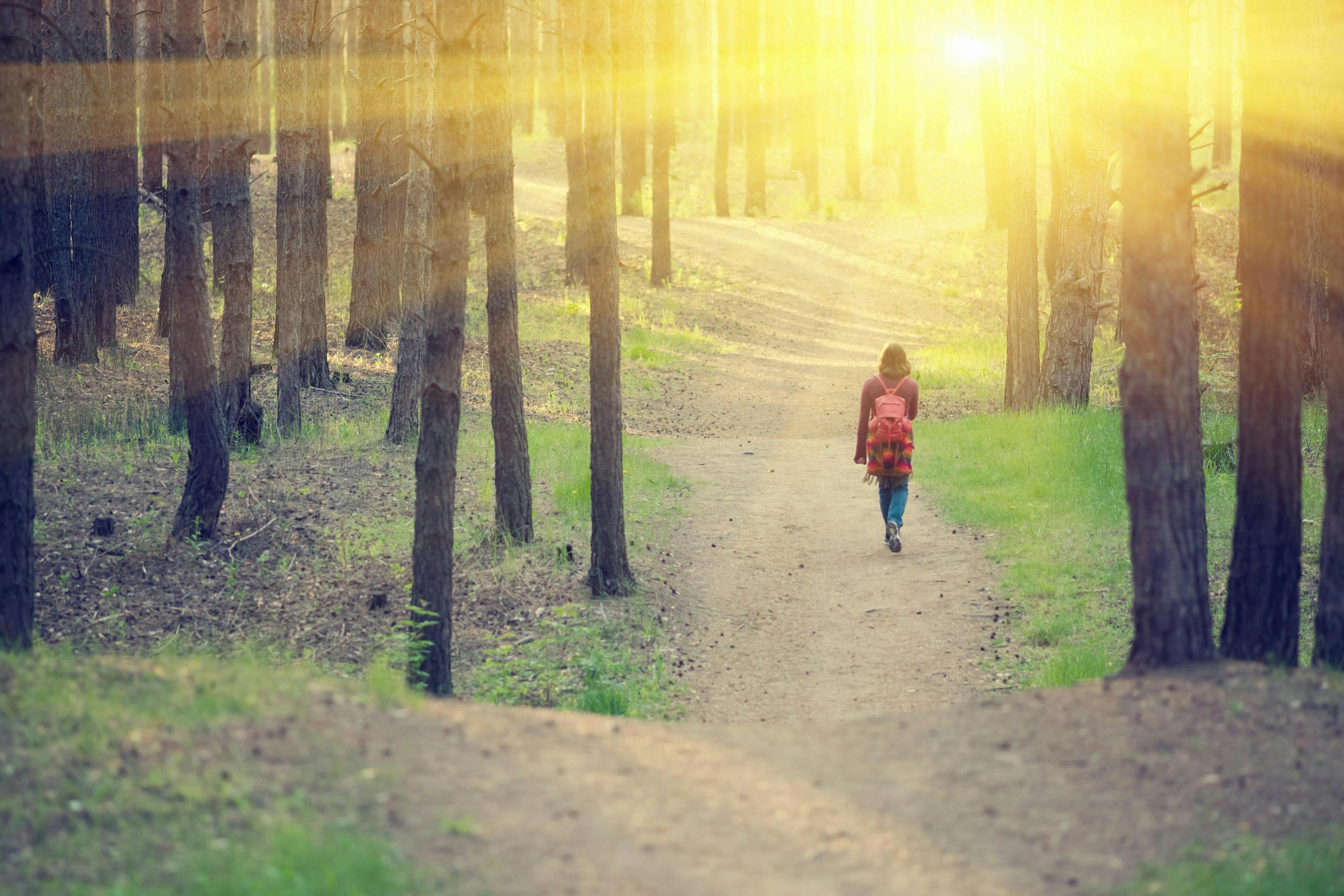 woman walking in the woods with a red backpack, the sun is shining