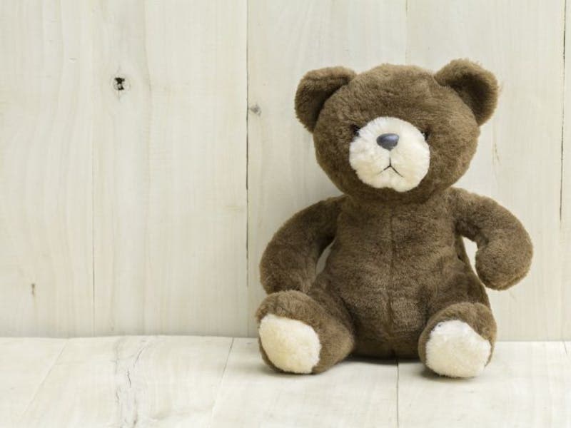 brown teddy bear